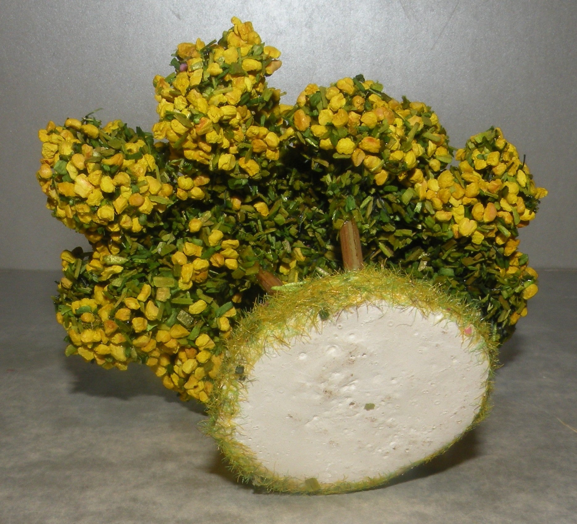 Mimosa Didier , 4 Cm