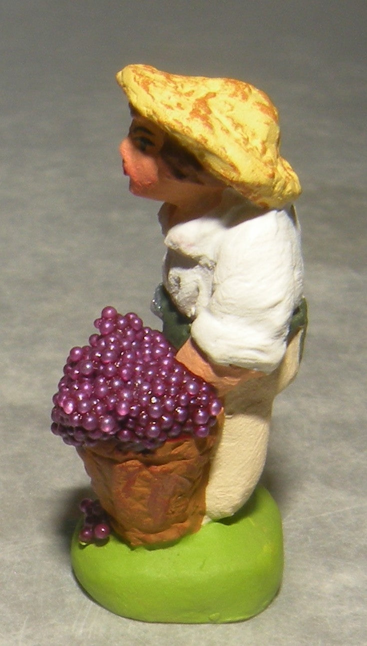 Man harvesting Grapes, Didier Mini