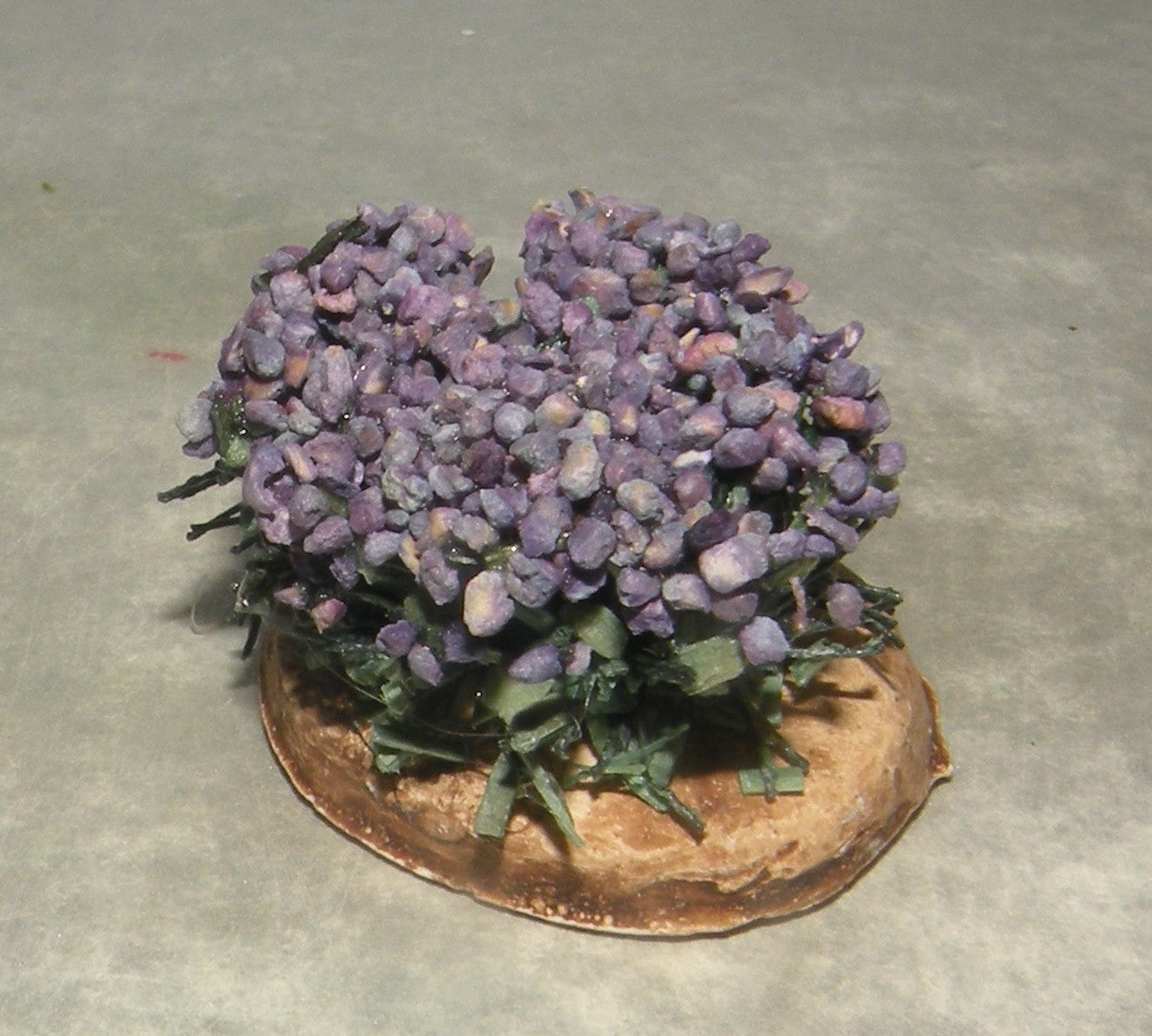 Foot of Lavender , Didier 4 Cm