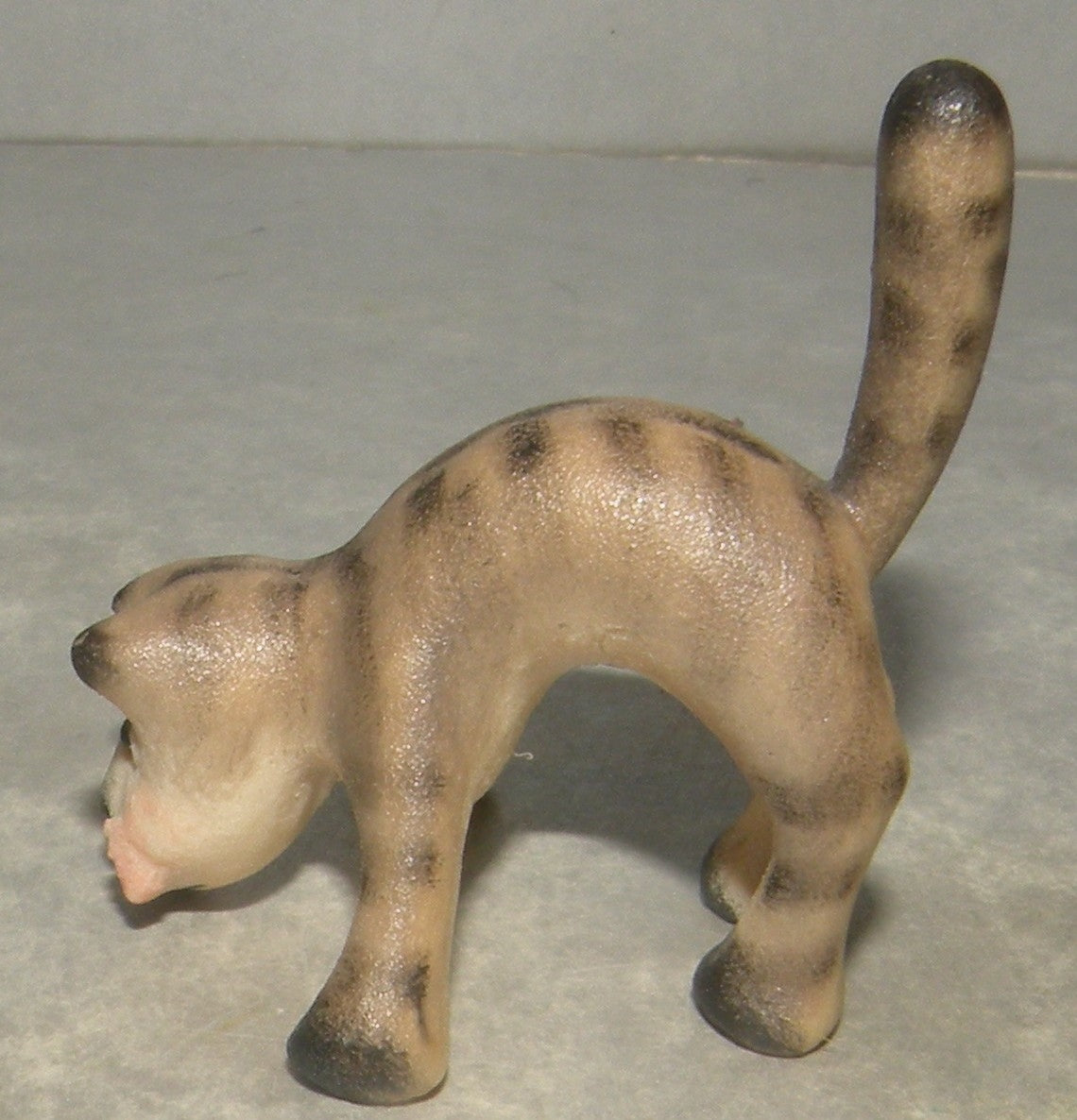 Cat with wide front legs, Kastlunger