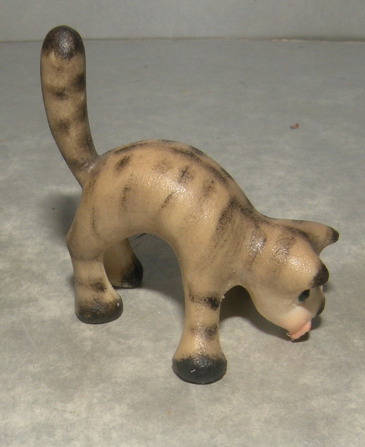 Cat with wide front legs, Kastlunger
