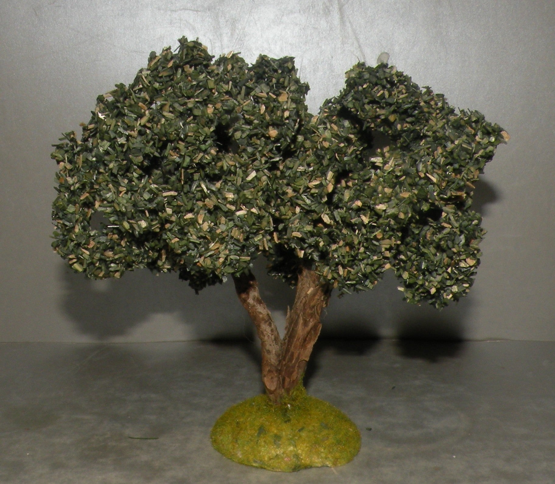 Olive Tree , Didier 10 Cm