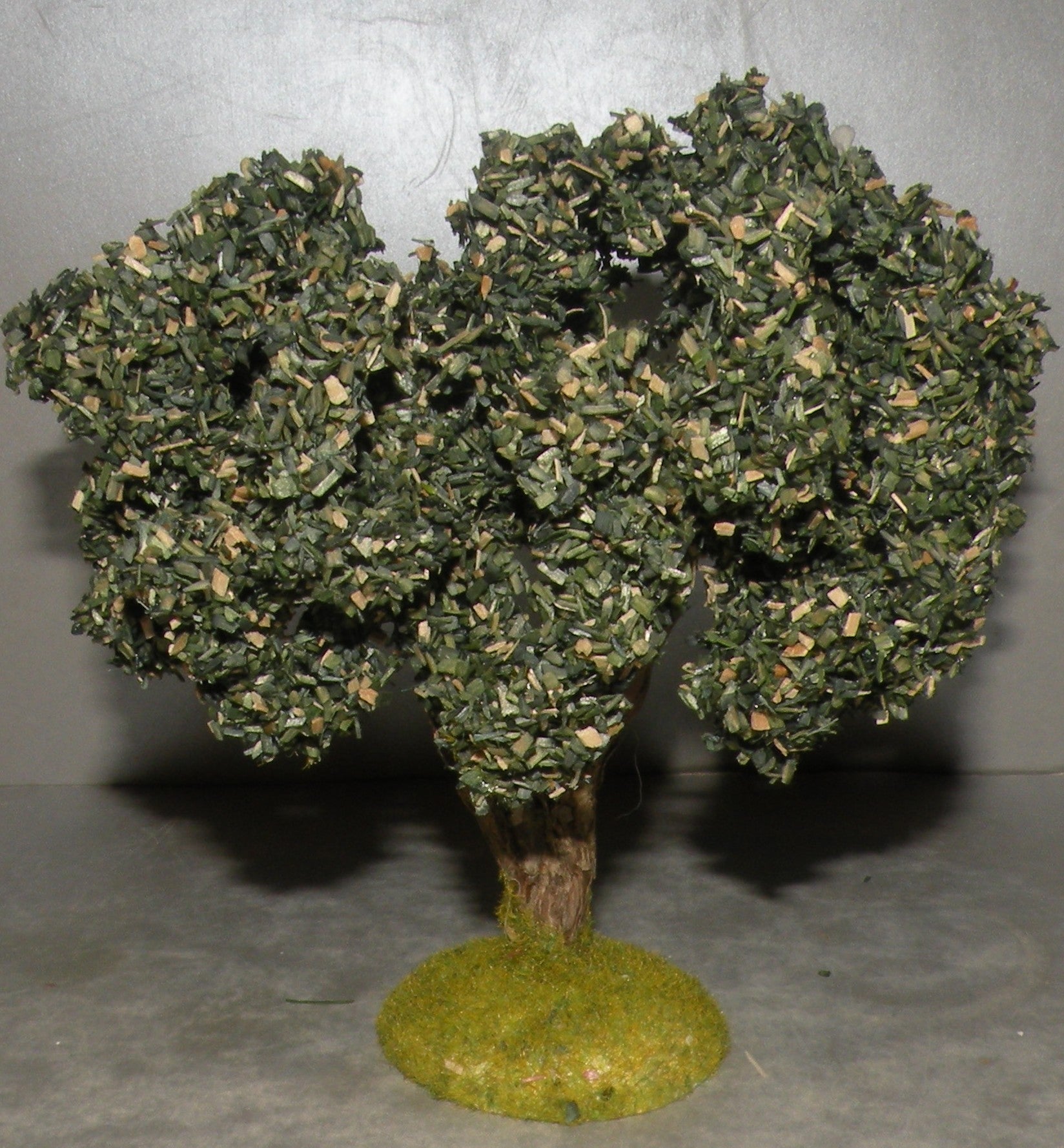 Olive Tree , Didier 10 Cm