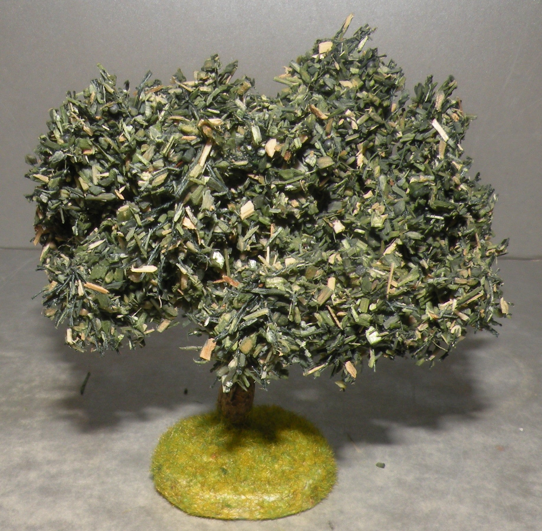 Olive Tree Didier , 4 Cm