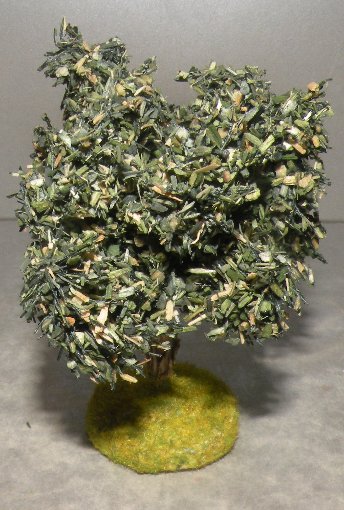 Olive Tree Didier , 4 Cm