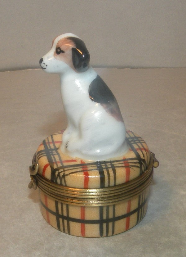 Plaid dog, Limoges Box number 20