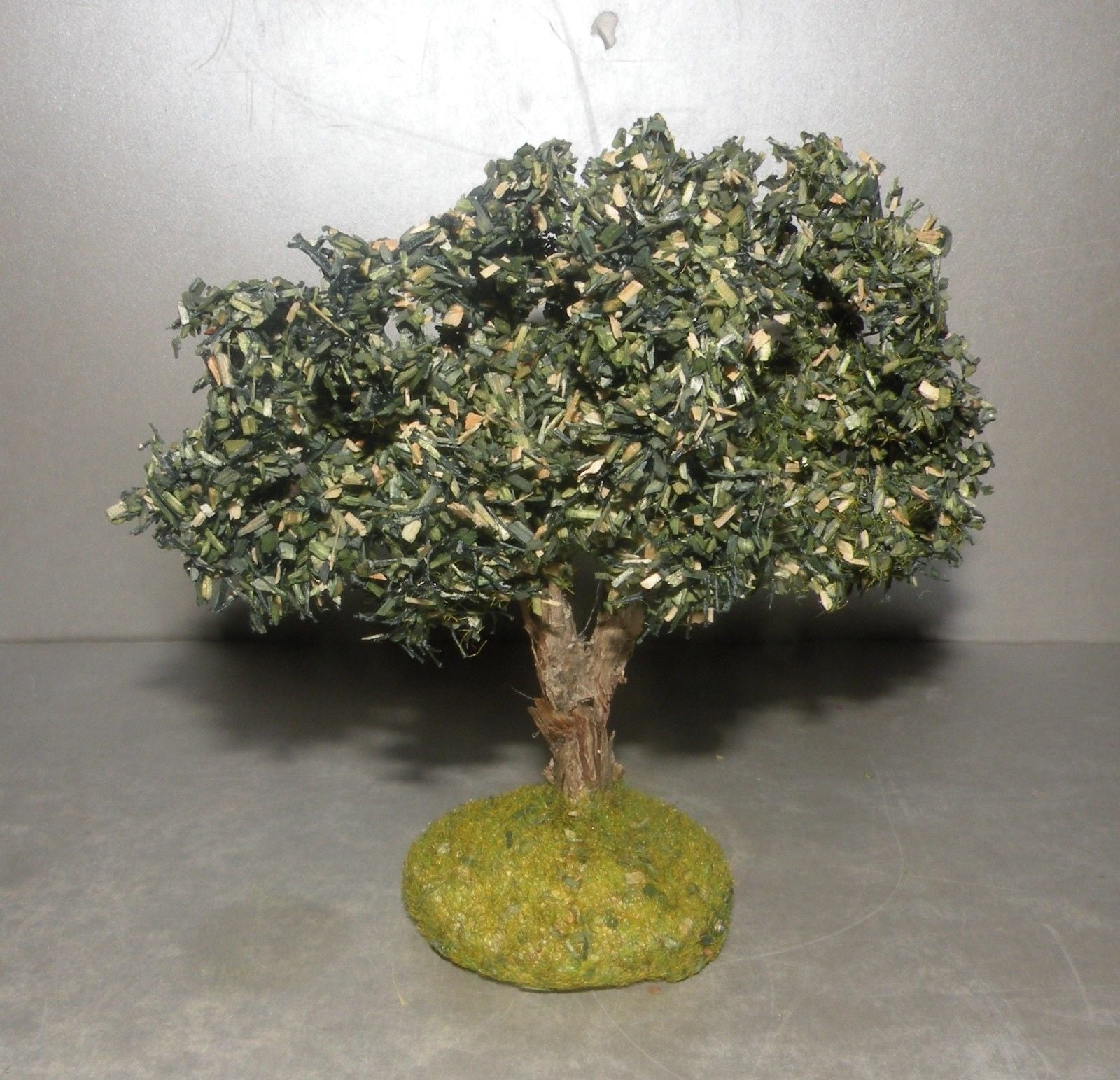Olive Tree  Didier , 7 - 6 Cm