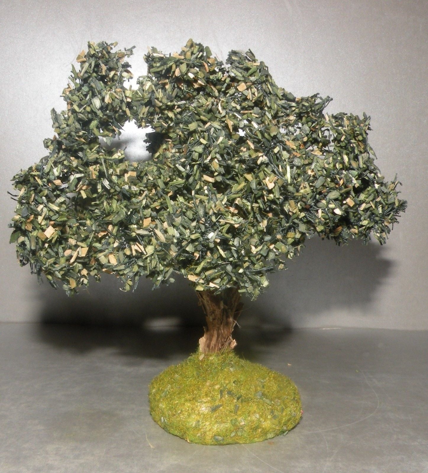 Olive Tree  Didier , 7 - 6 Cm