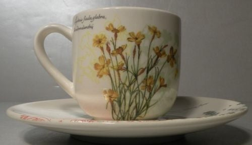 Expresso Cup & Saucer Anonis Herbier du Roy